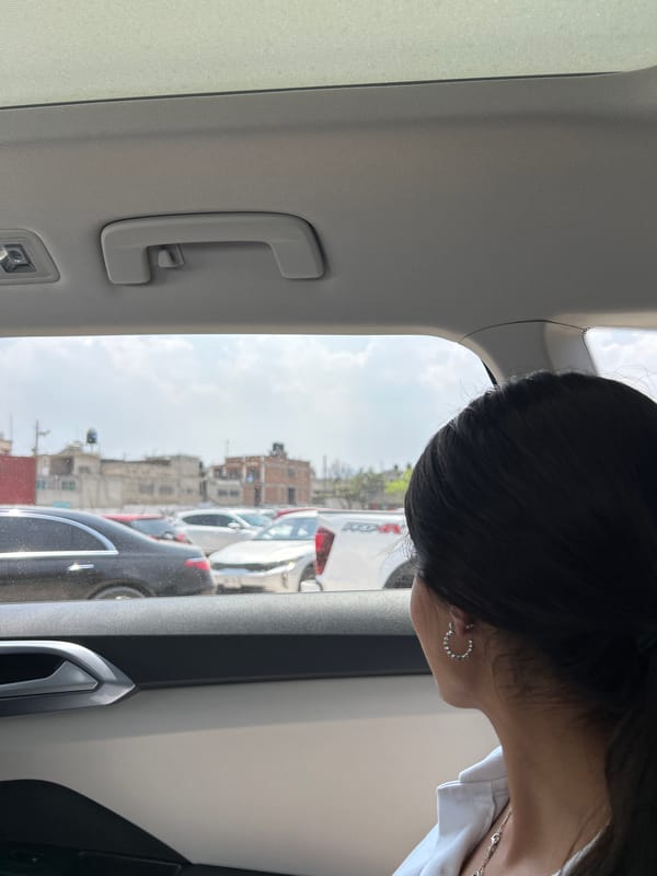 Person observed in vehicle wearing white top
