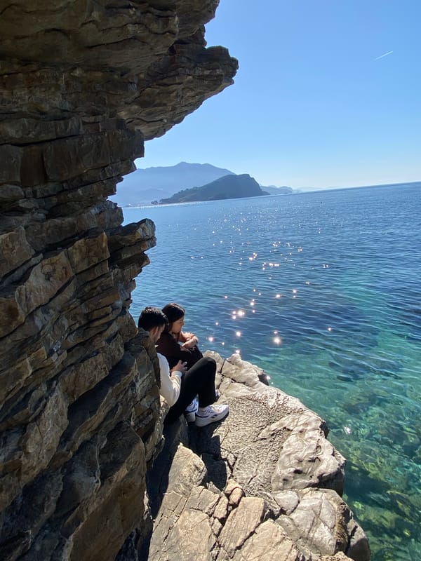 Cats spotted lounging on coastal walls in Budva