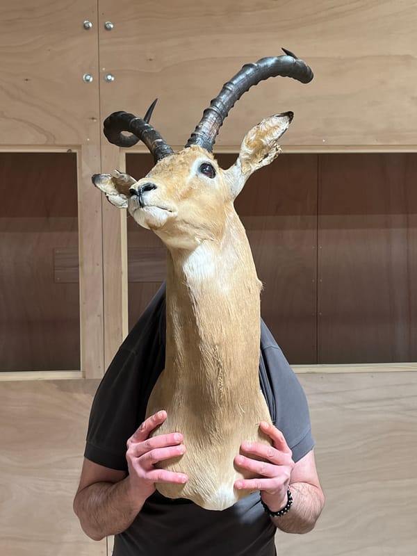 Art installation with animal sculptures displayed in Luxembourg warehouse