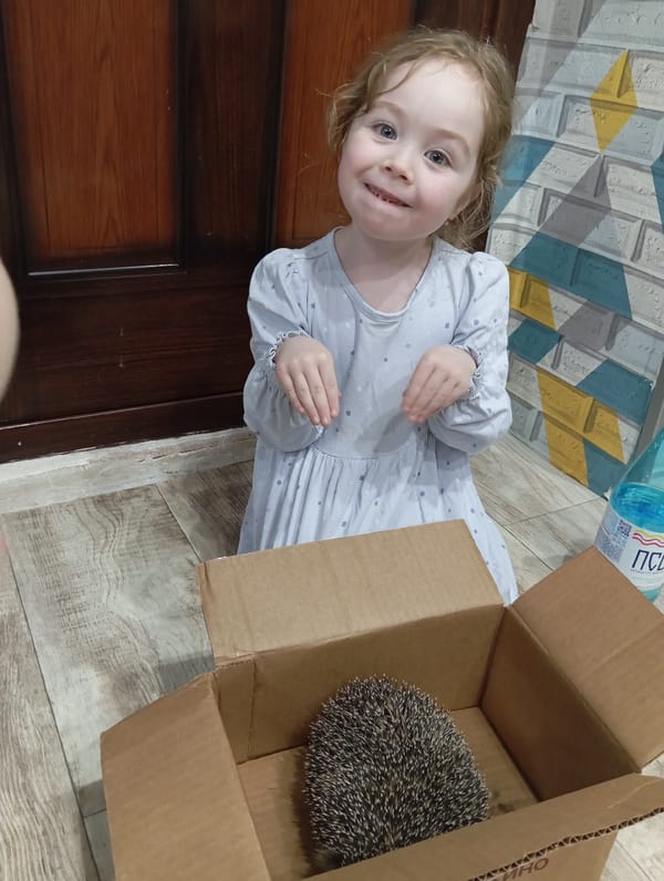 Russian family documents afternoon with pet hedgehog in Yurgamysh