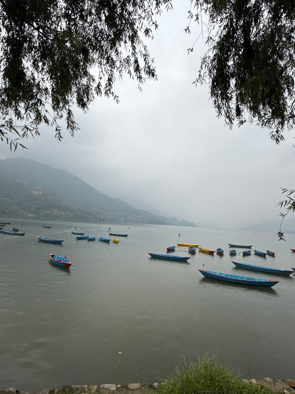 Colorful boats dot Phewa Lake in misty Pokhara morning