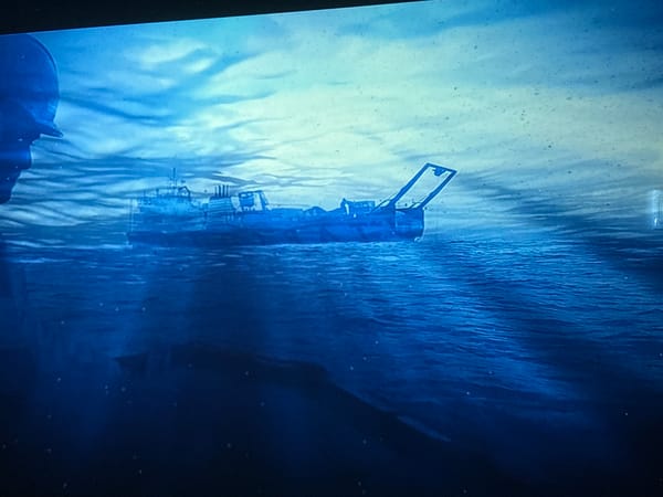 Observer captures ship and space telescope imagery simultaneously