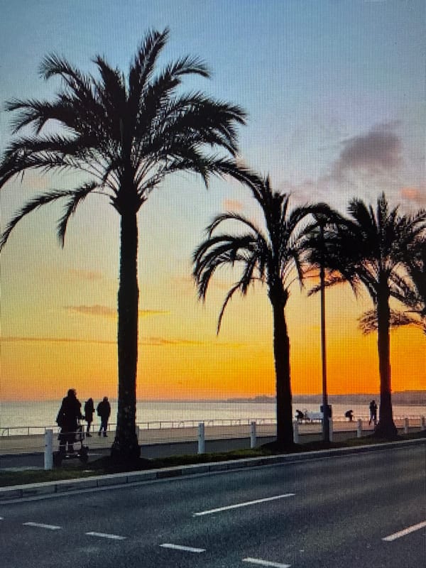 Coastal sunset session: beach, surfboards, and a seaside drive