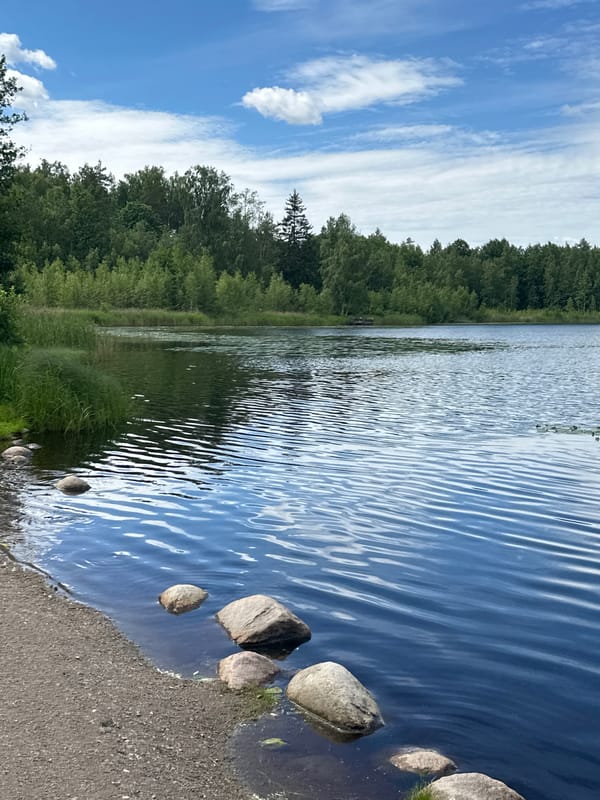 A relaxed summer morning at a forested lake