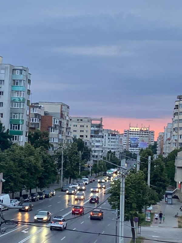 Evening streets of Iași, with traffic, rain, and a cat