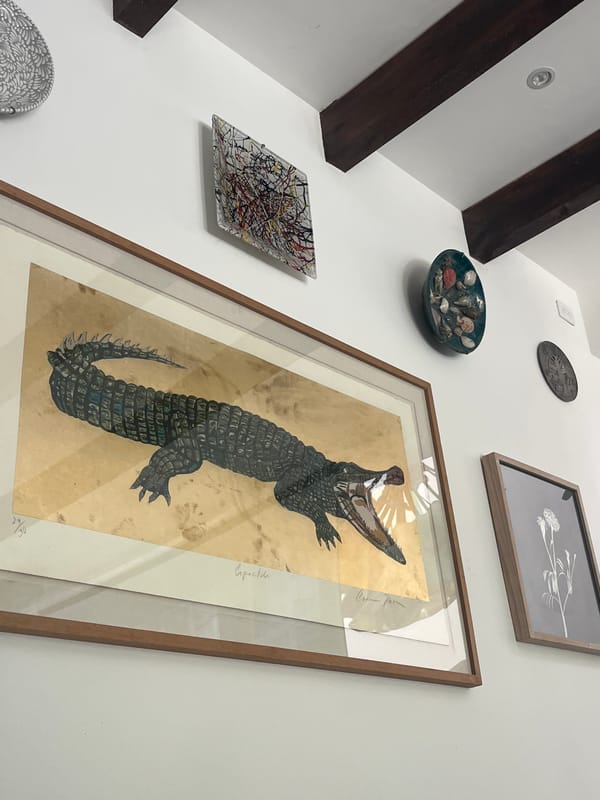 Person watches Sex and the City in Mexican home