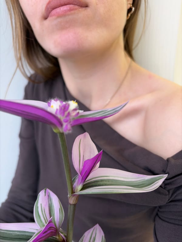 Woman documents quiet afternoon with plants and flowers in Izhevsk
