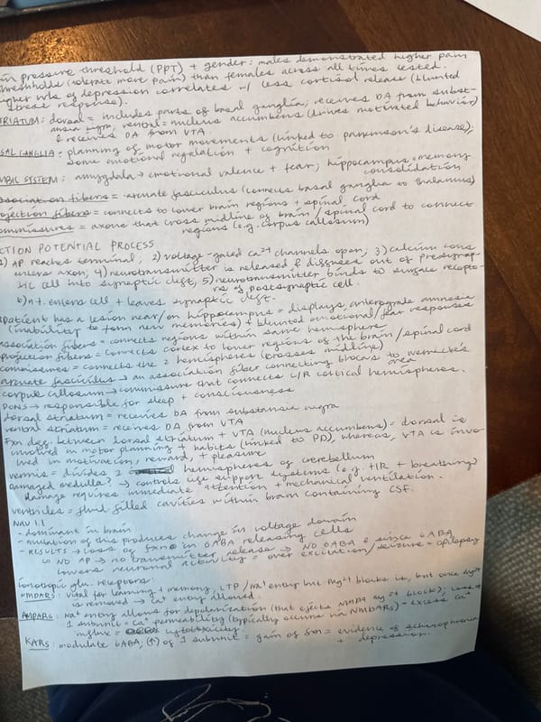 Student studies neuroscience materials with notes and laptop in Austin