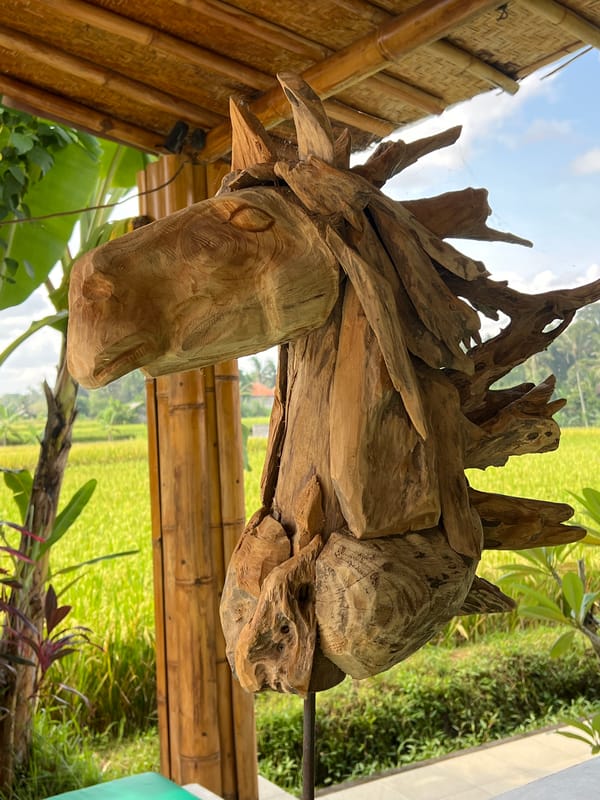 Daily village life documented in Singakerta, Indonesia