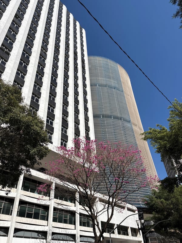 Street murals, old trees, and pop culture in central São Paulo