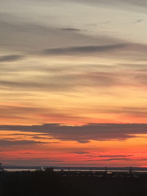 Evening at home in Chaikovsky: cat, selfies, and a striking sunset