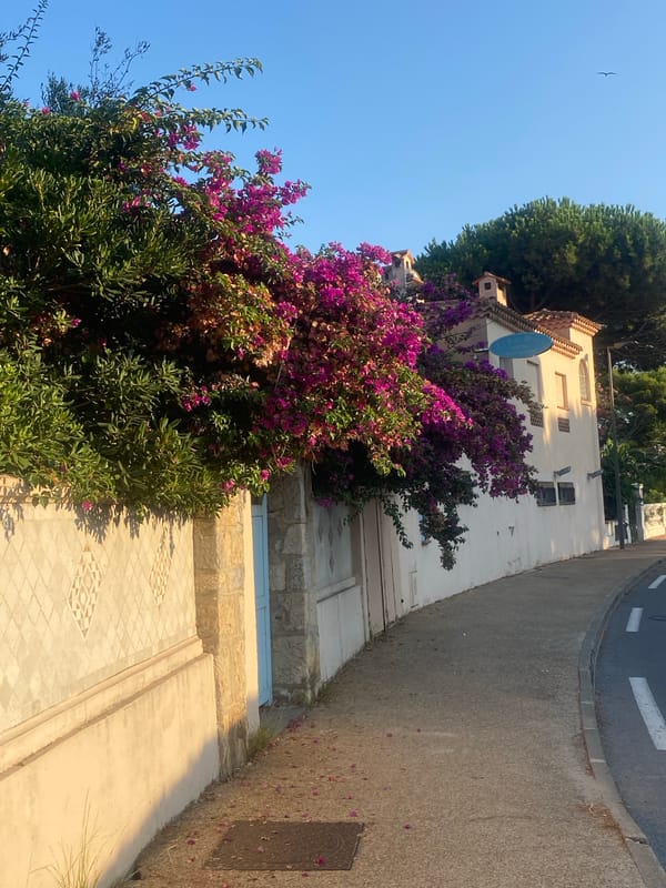 Quiet residential streets and Villa Mirae entrance, Antibes