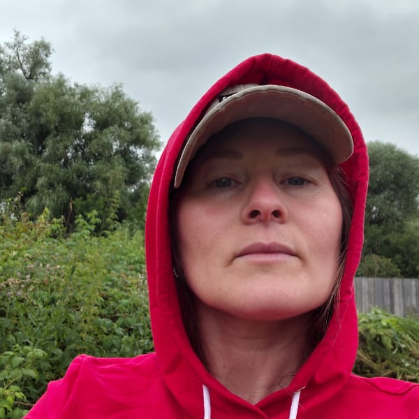 Morning garden walk: gloved hands, raspberries, and overcast skies