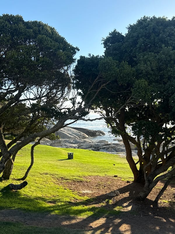 Afternoon Cape Town coastal tour documented across multiple neighborhoods