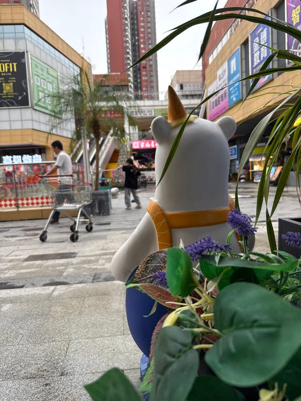 Morning street life documented across Huizhou shopping district