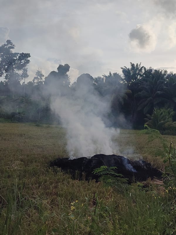 Burning debris spotted in Indonesian field emits smoke