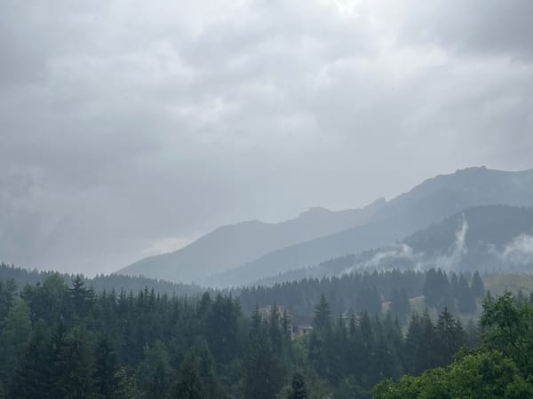 Misty mountain forest with rustic stone buildings tucked among conifers