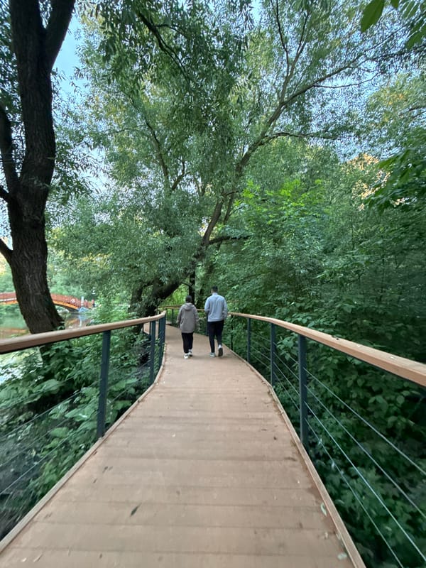 Summer afternoon at Moscow's Losiny Ostrov National Park