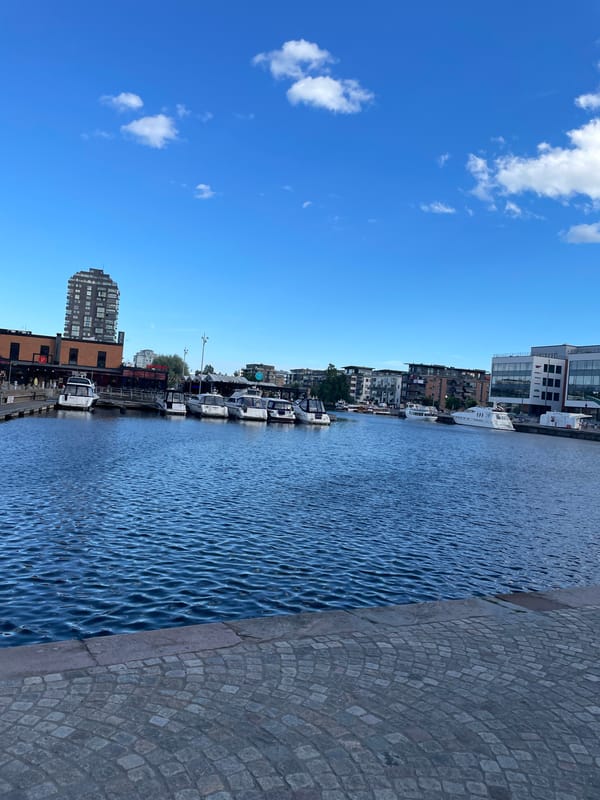 Skate sessions and harbor strolls on a Karlstad summer afternoon