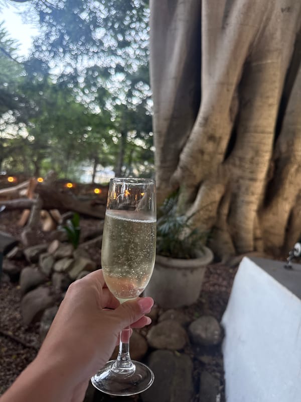 Botanical garden tour documentation captured across Cape Town locations