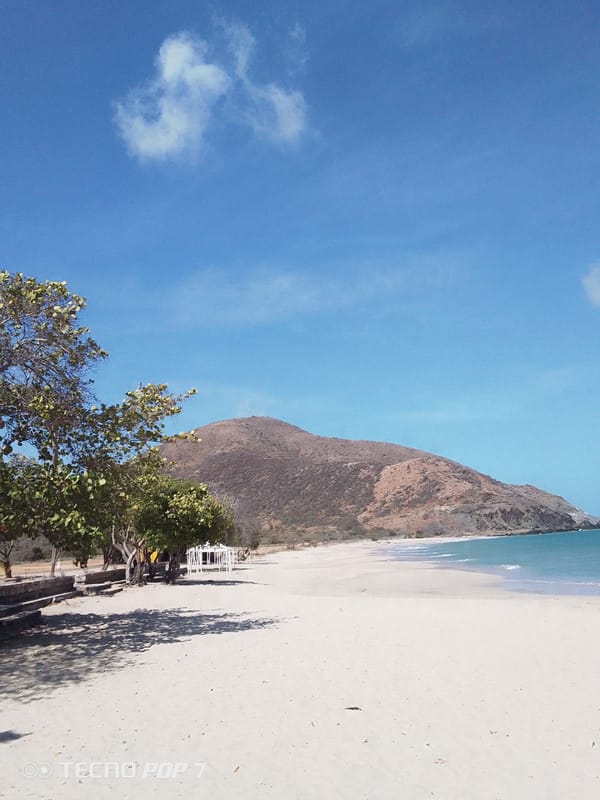 Peaceful beach moments documented in Pedro González, Venezuela