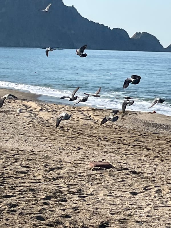 Morning scenes captured along Alanya beachfront and promenade