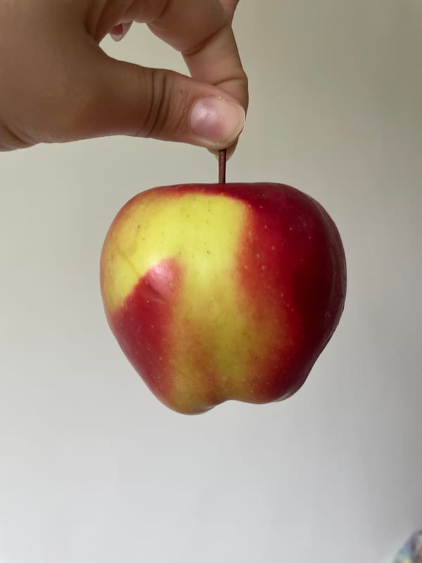 Hand holds colorful apple in Plovdiv, Bulgaria