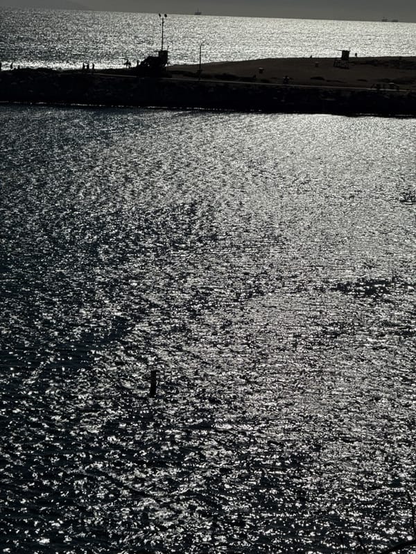 Ocean views documented during brief Newport Beach visit