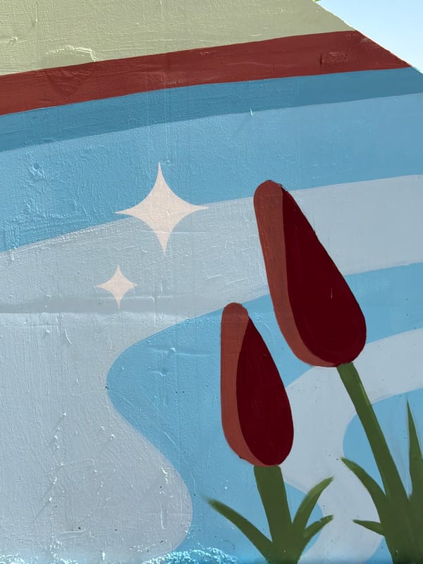 Yekaterinburg street murals and neighborhood scenes, summer morning