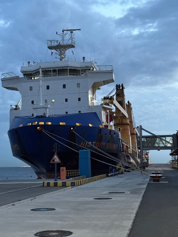 Cargo ships dock at Saint Petersburg port during dusk
