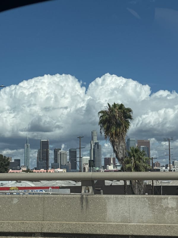 Diverse LA street scenes captured during evening commute