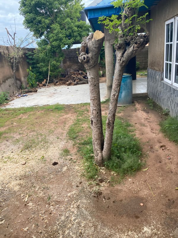 Street-level look at a Nigerian village in mid-construction