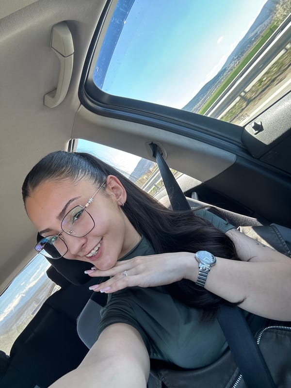 Woman observed driving car in Bulgarian village