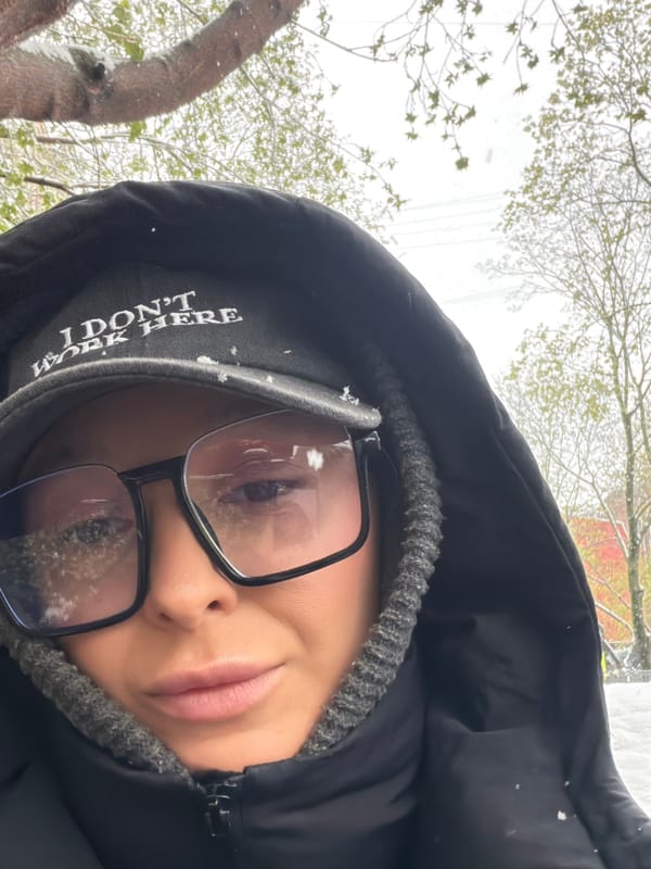 Moscow residents document early spring snow and precipitation