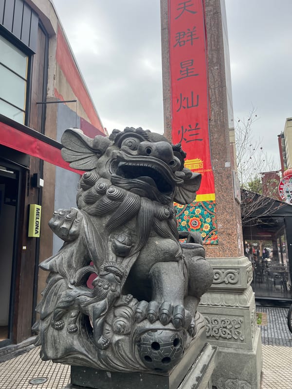 Tourist documents 15-minute walk through Buenos Aires Chinatown district
