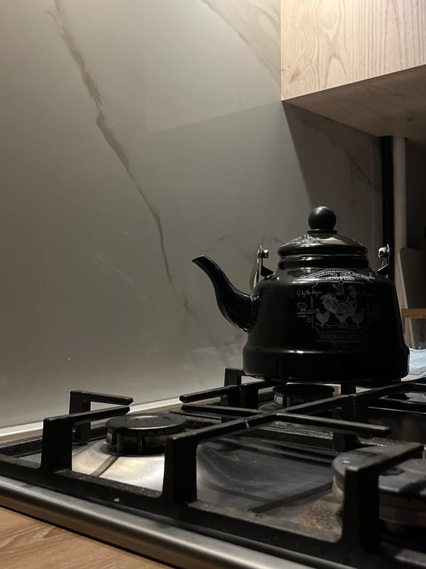 Tabby cat and kitchen kettle, one apartment in Babruysk