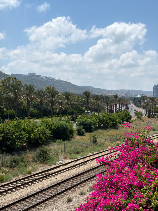 Beach day in Haifa — surf, a dog, and calm water