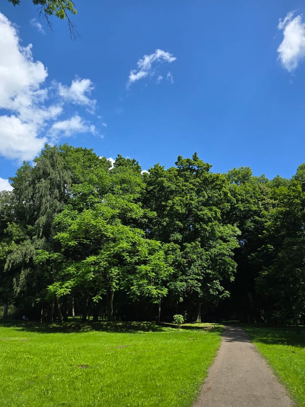 Nesvizh Castle and park on a sunny summer morning