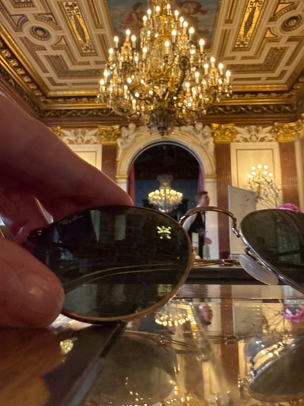 Tourist documents ornate Vienna interior through selfies and reflections