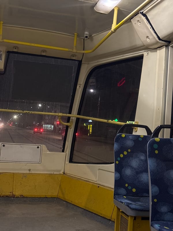 Young women take selfies on public bus in Perm