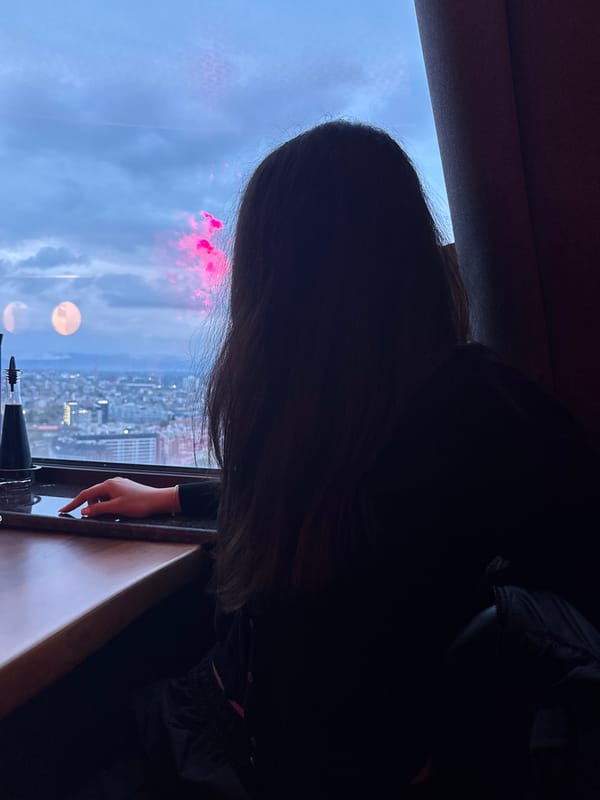 Person documents high-rise visit with city views, selfies, meal