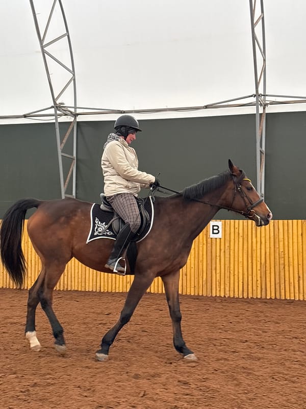 Horseback riding observed at Russian equestrian facility during snowfall