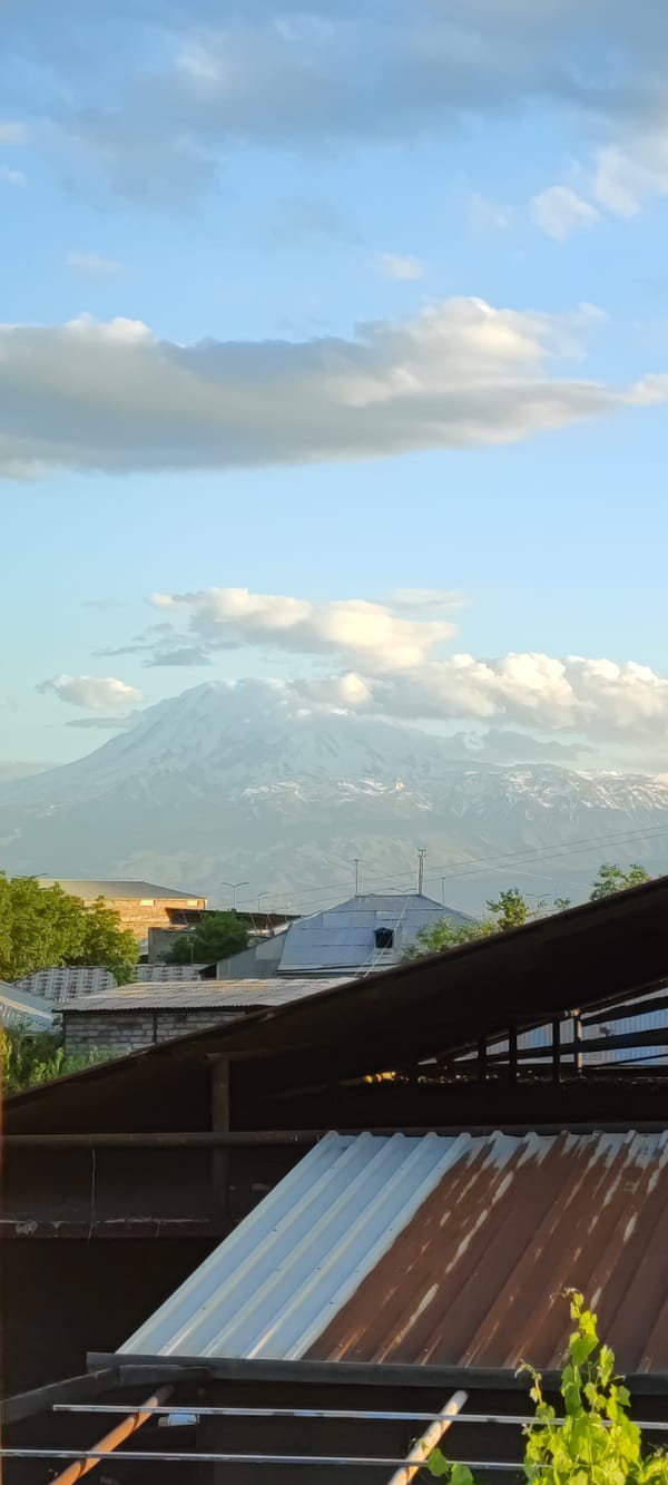 Panoramic view captured of Yerevan settlement with snow-capped mountain