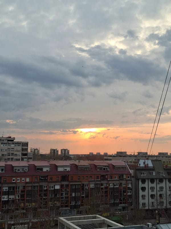 Sunset and cat moments captured in Novi Sad apartment