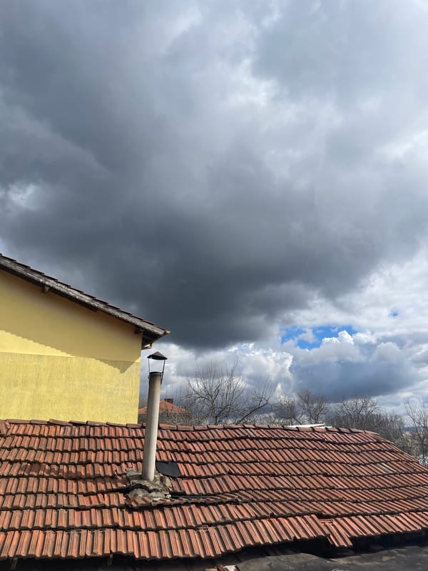 Spring blooms and bees observed across Sofia area neighborhoods