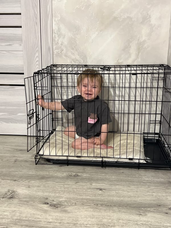 Toddler plays in dog crate while bulldog sleeps nearby