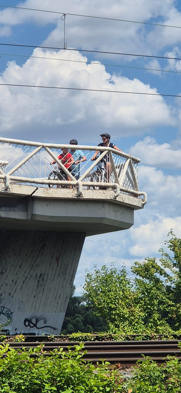 Cyclists cross the Mainz-Kastel bridge on a sunny afternoon