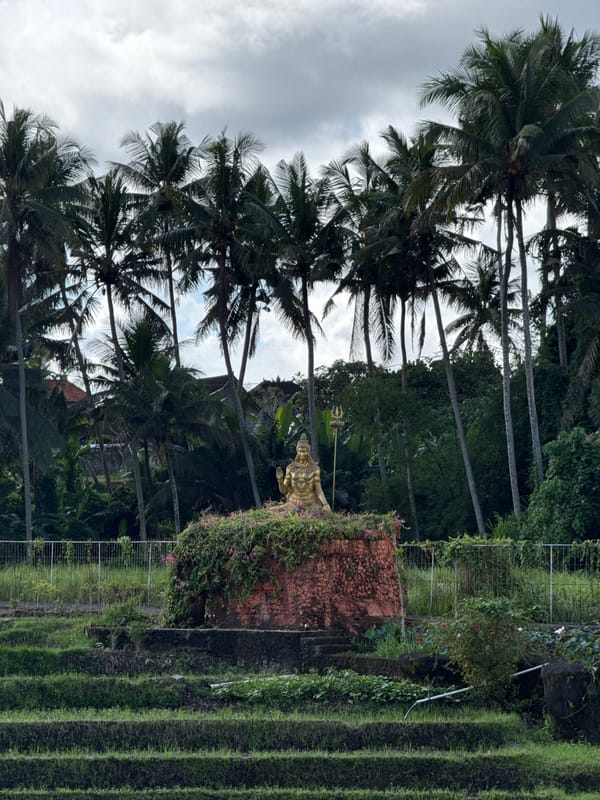Late-night construction work continues in tropical Ubud District