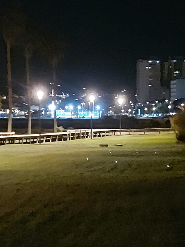 Evening stroll documented along Figueira da Foz waterfront, Portugal