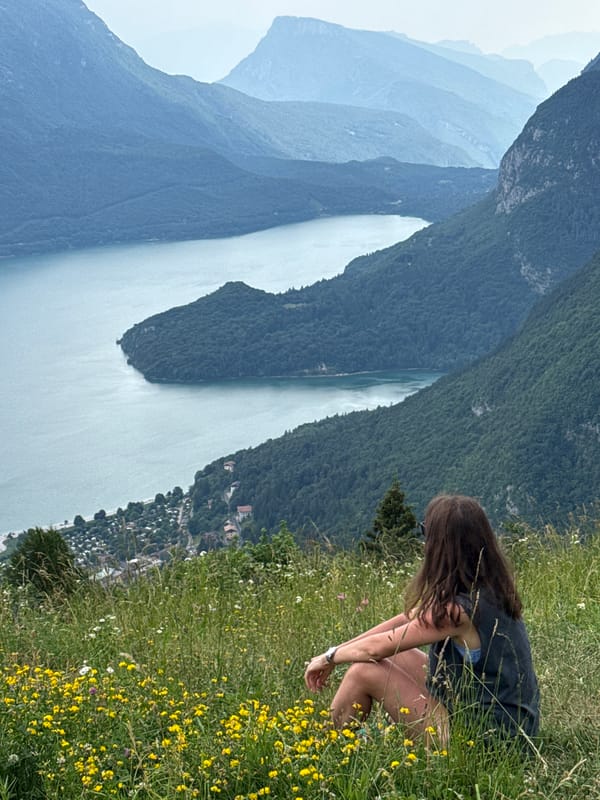 Lazy afternoon in a Molveno wildflower meadow above the lake
